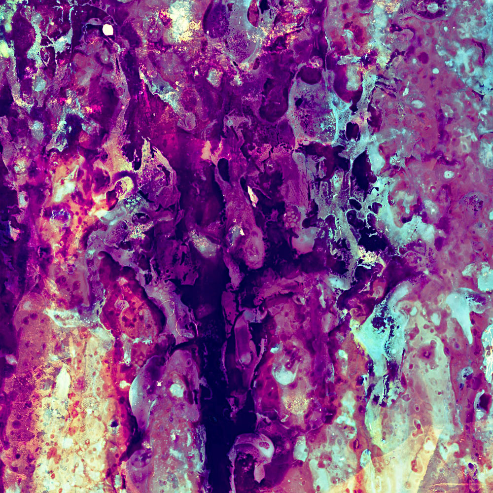 Bleached no. 2 by Ajay Malghan