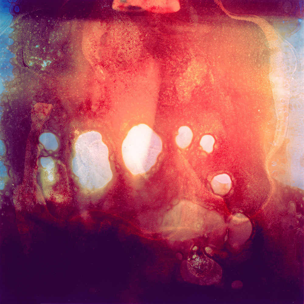 Bleached no. 3 by Ajay Malghan