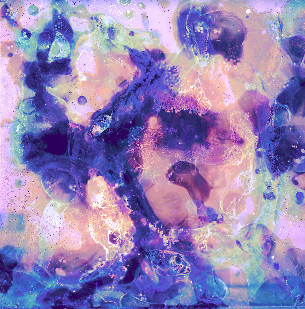 Bleached no. 6 by Ajay Malghan