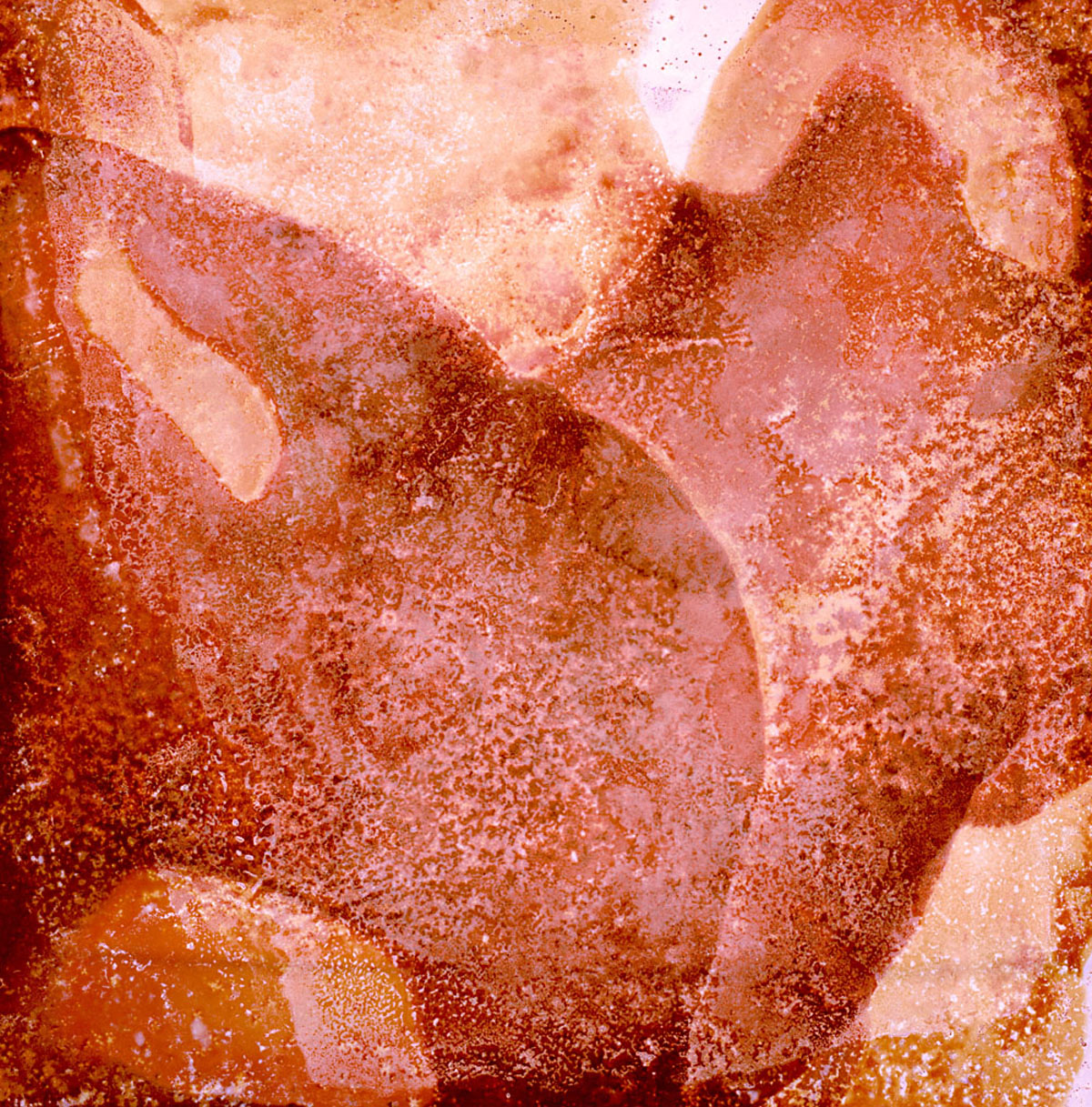 Bleached no. 7 by Ajay Malghan