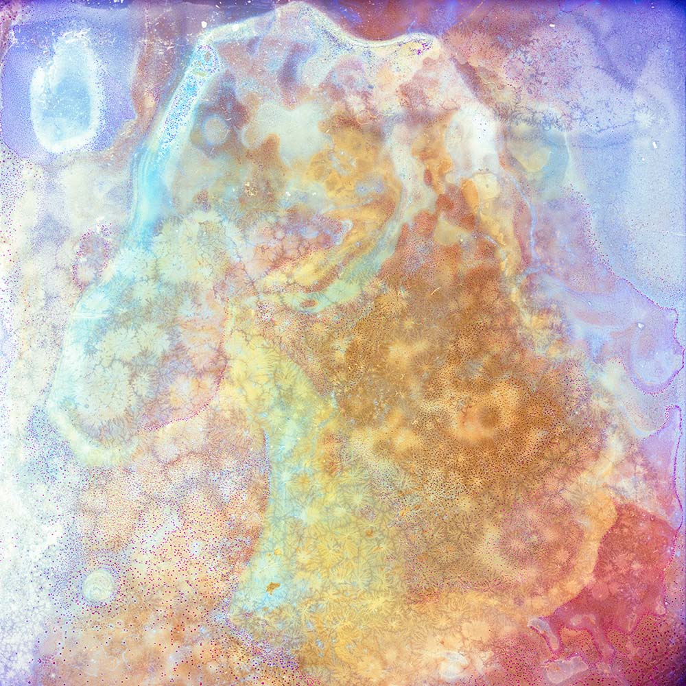 Bleached no. 8 by Ajay Malghan