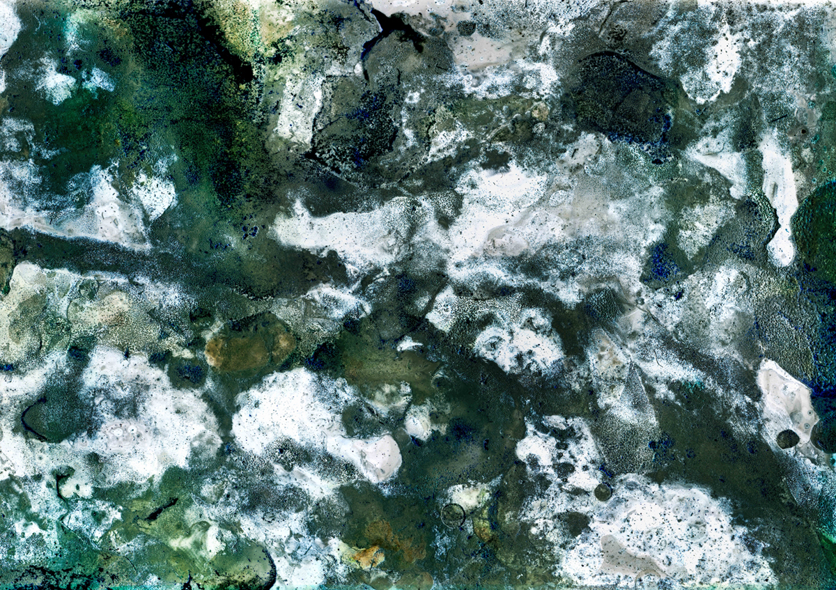 Bleached no. 9 by Ajay Malghan