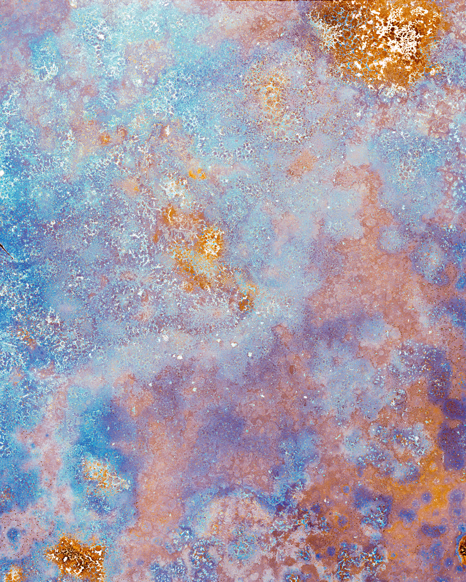 Bleached no. 10 by Ajay Malghan