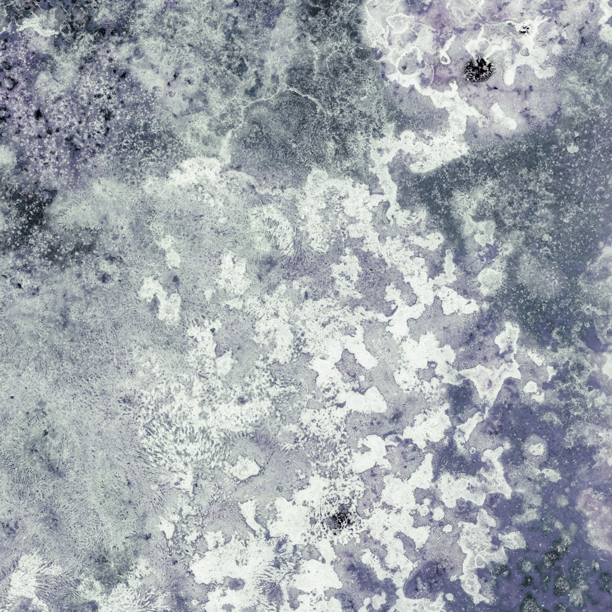 Bleached no. 13 by Ajay Malghan