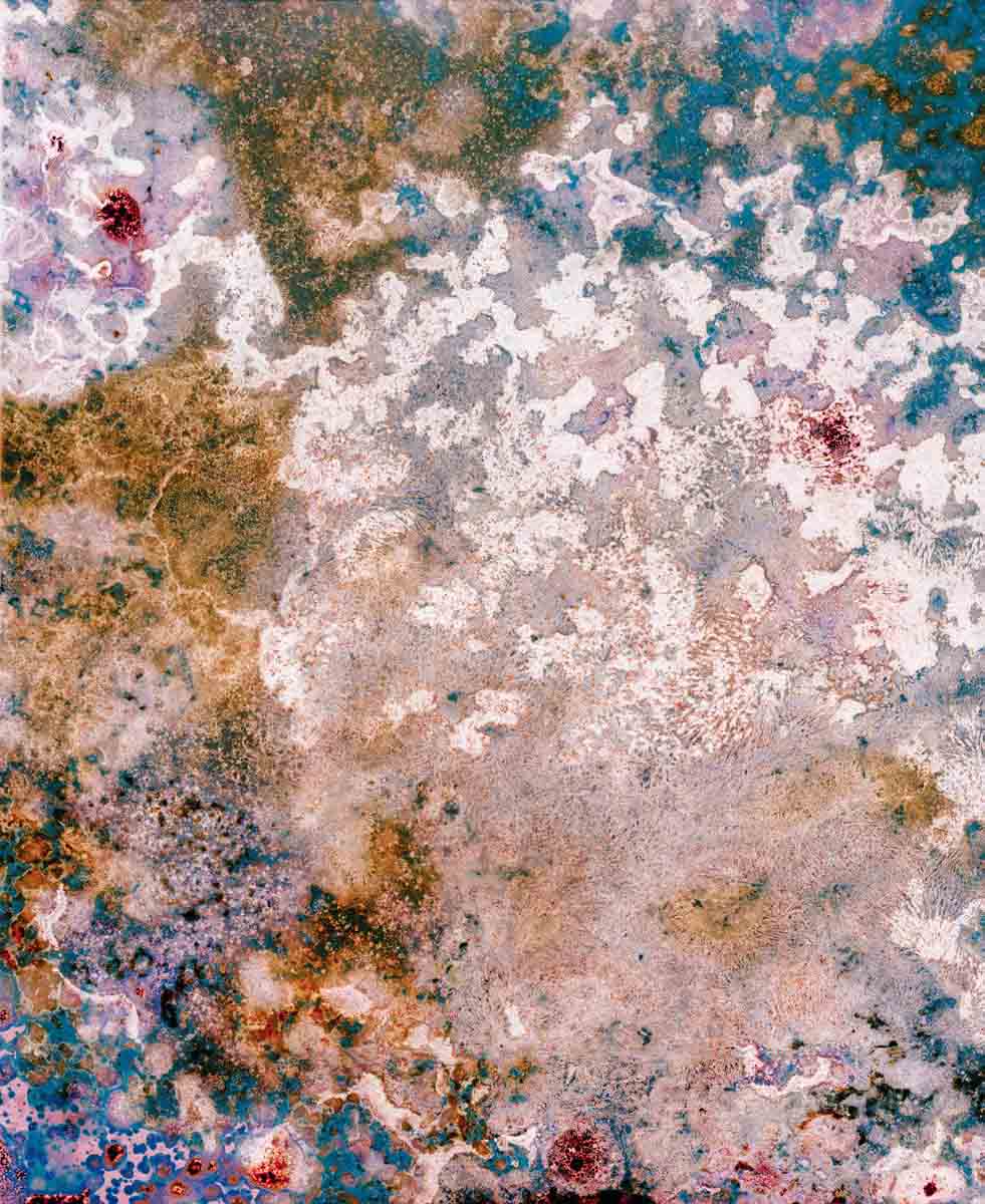 Bleached no. 14 by Ajay Malghan