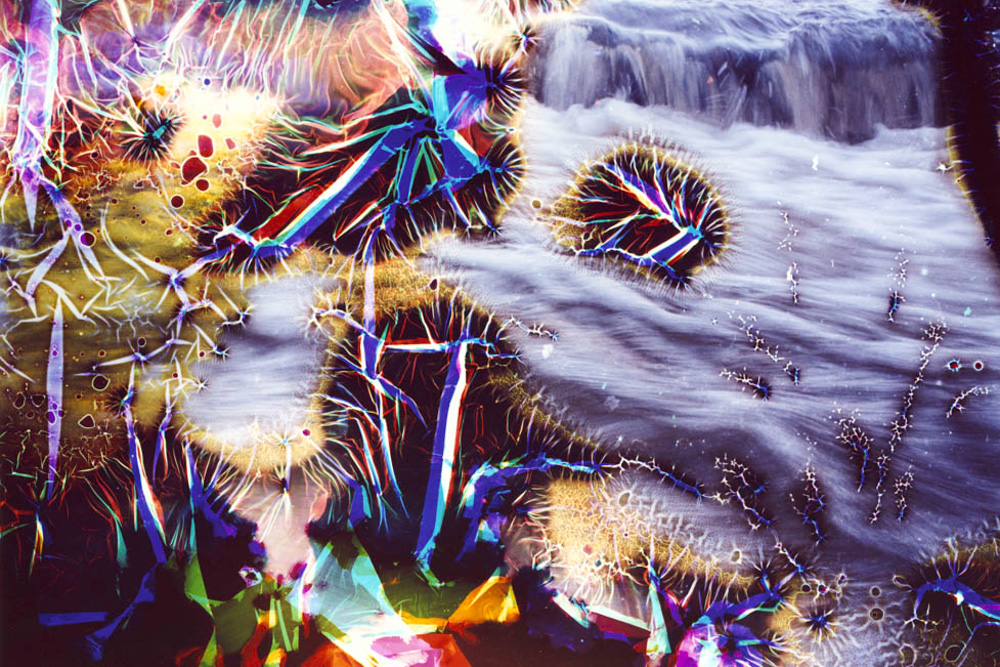 Collaborations With Nature no. 1 by Ajay Malghan