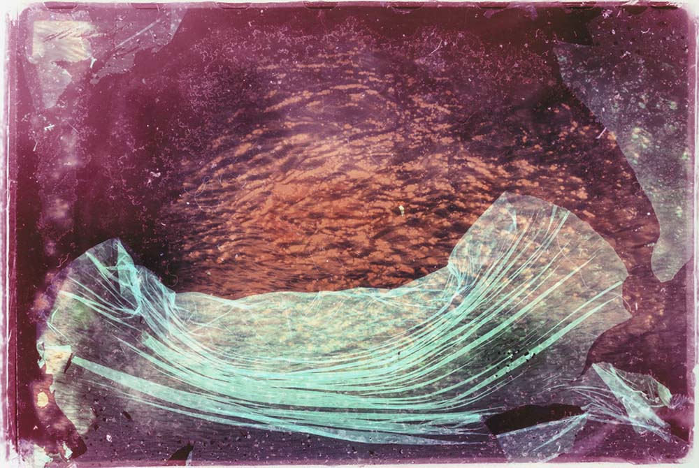 Collaborations With Nature no. 3 by Ajay Malghan