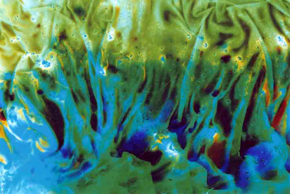 Collaborations With Nature no. 6 by Ajay Malghan