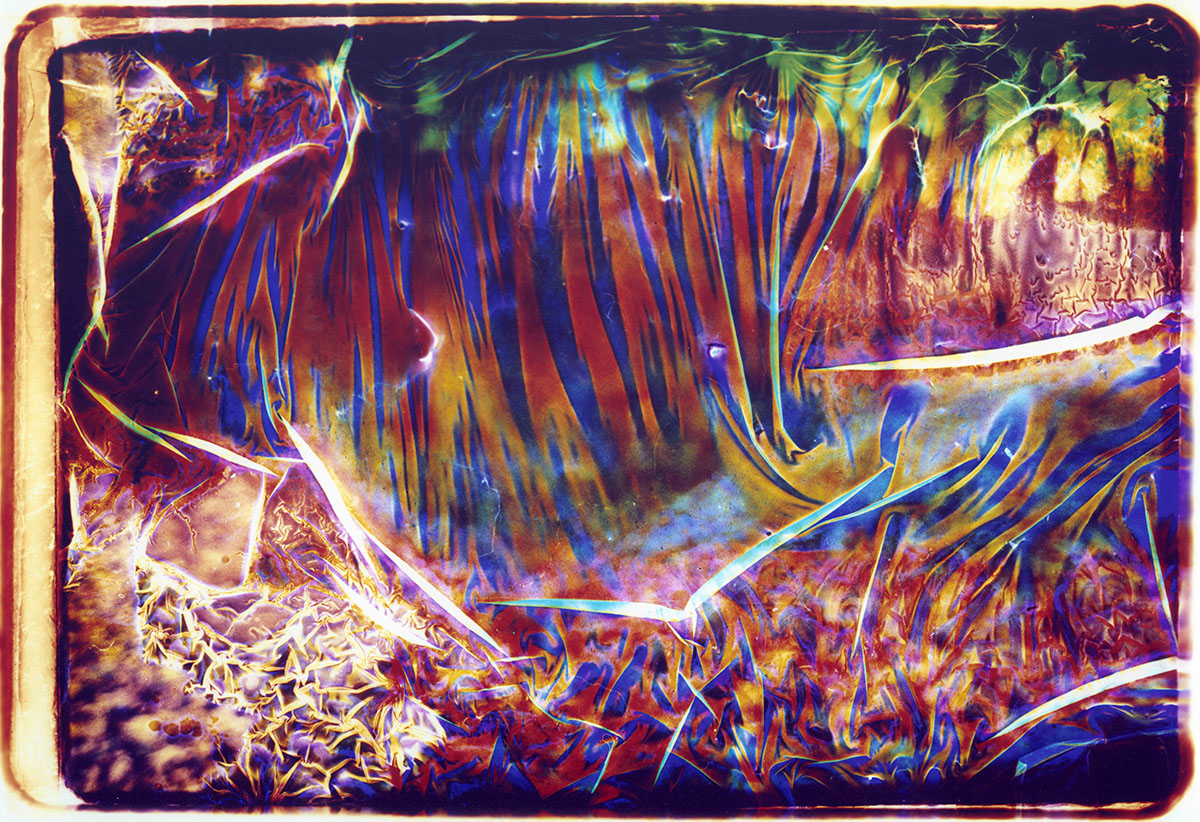 Collaborations With Nature no. 7 by Ajay Malghan