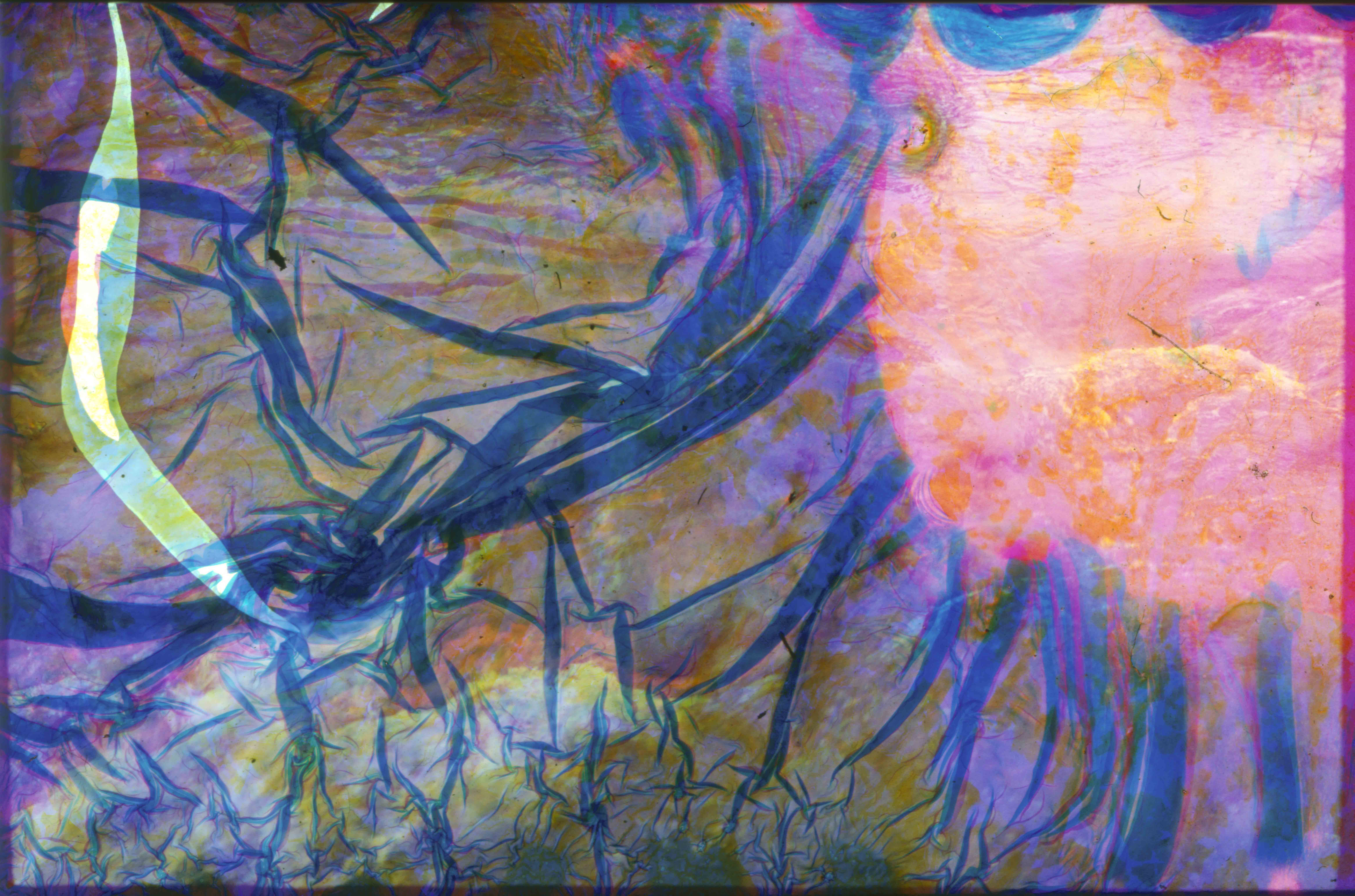 Collaborations With Nature no. 9 by Ajay Malghan