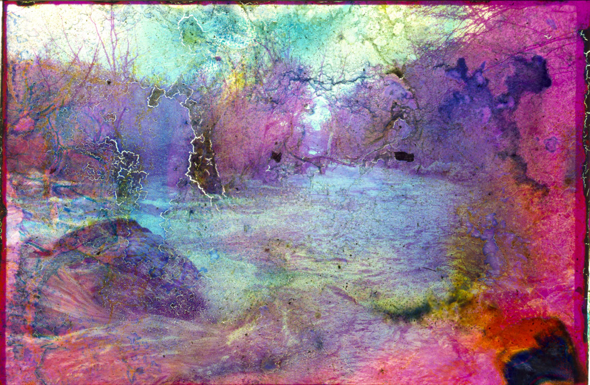 Collaborations With Nature no. 11 by Ajay Malghan