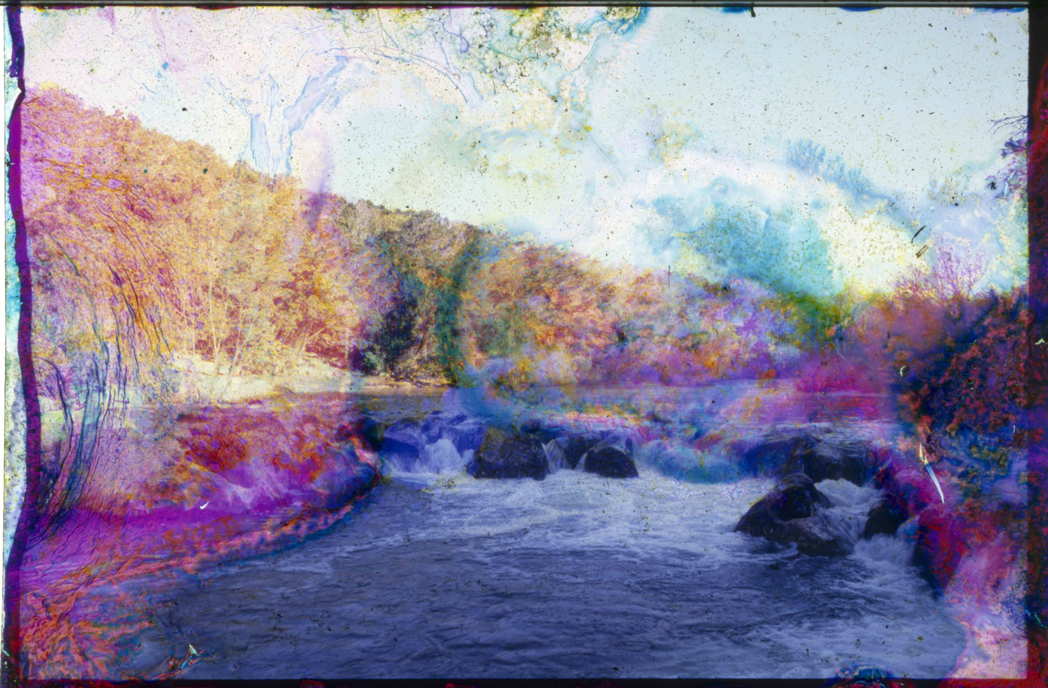 Collaborations With Nature no. 12 by Ajay Malghan