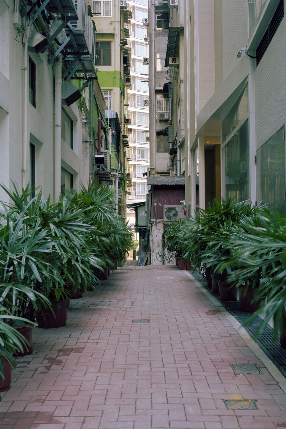 HK Alleys no. 2 by Ajay Malghan