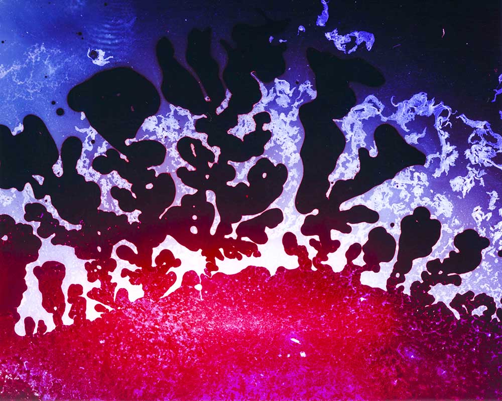 Matter no. 13 by Ajay Malghan