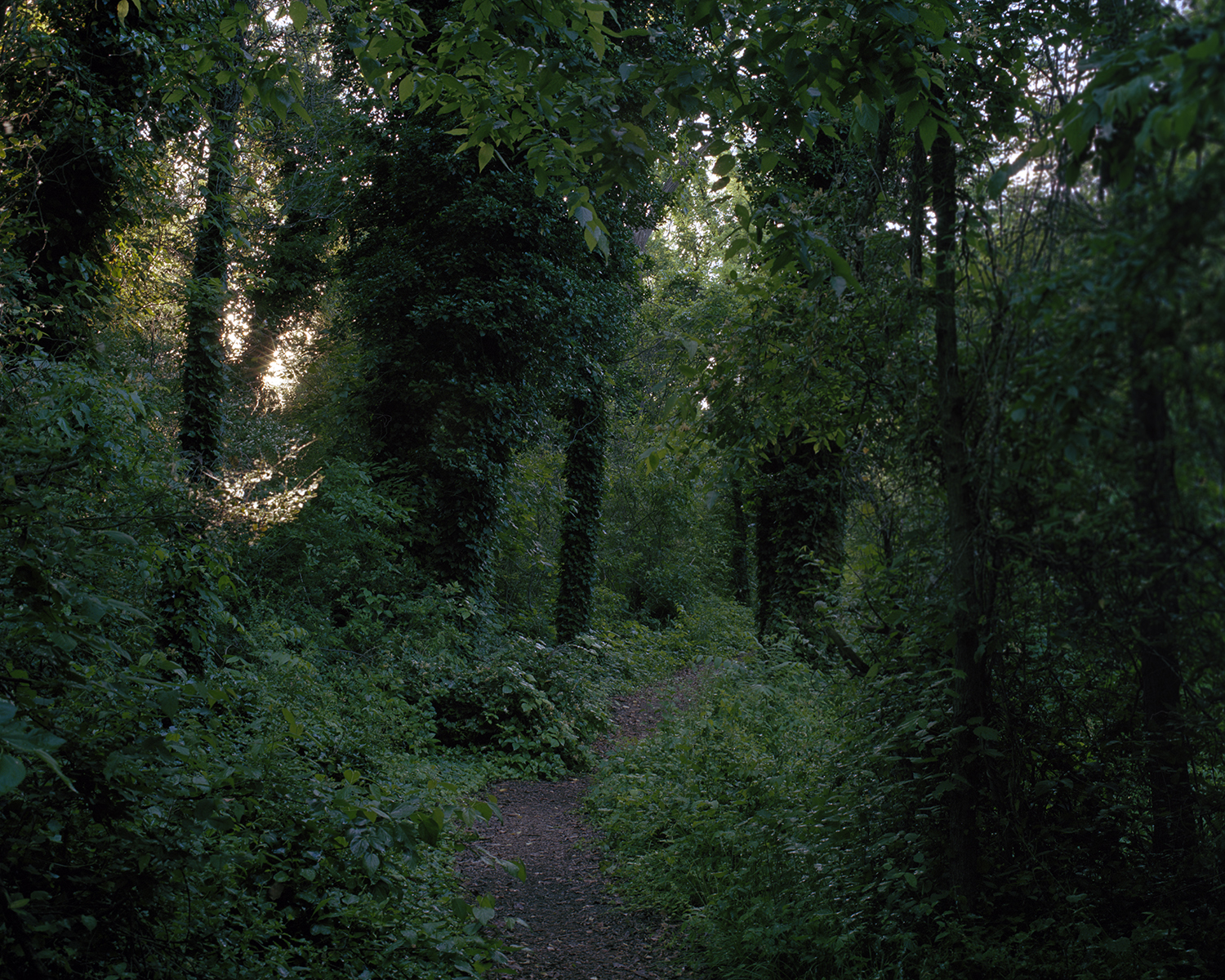Richmond Slave Trail no. 13 by Ajay Malghan