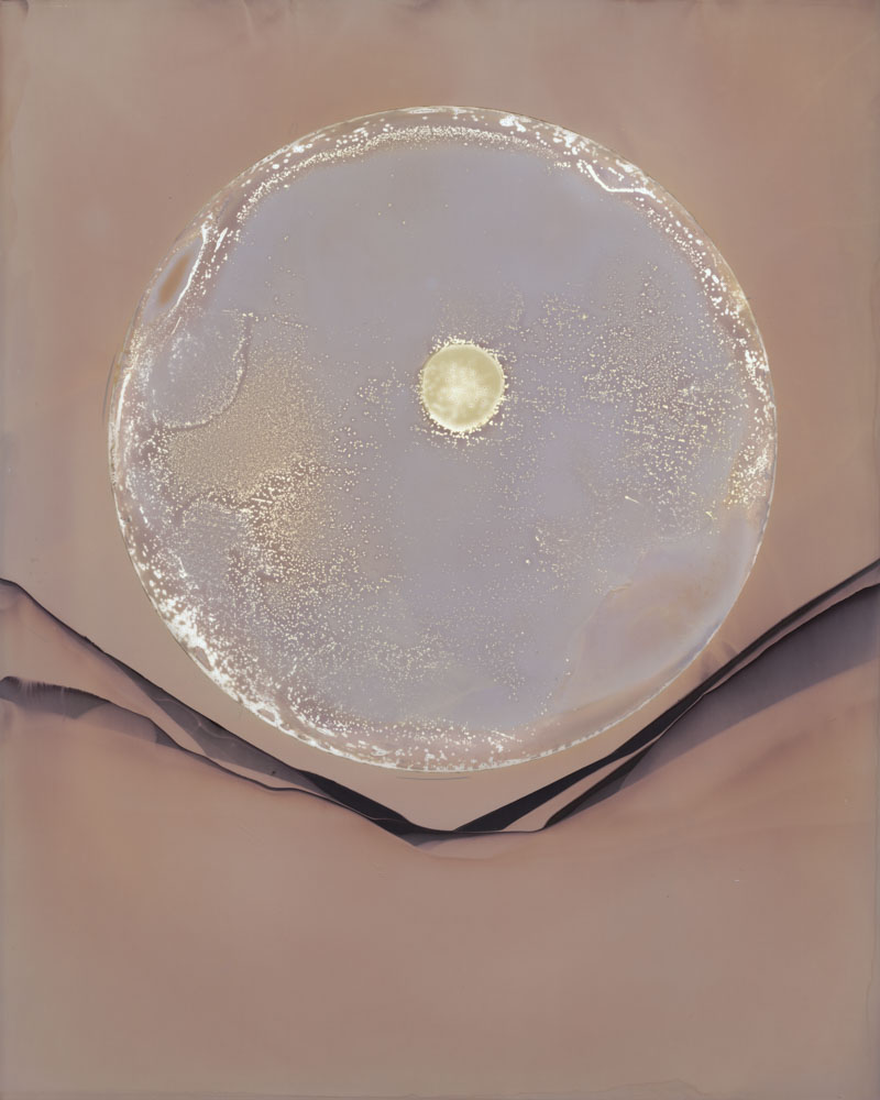 Urantia no. 12 by Ajay Malghan